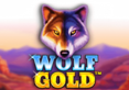 Gold Wolf Play